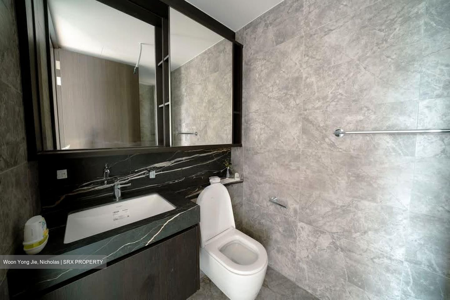 Hyll On Holland (D10), Condominium #571058321